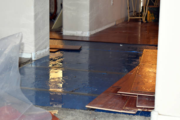 Professional Basement Flooding technician working in Canton, MA